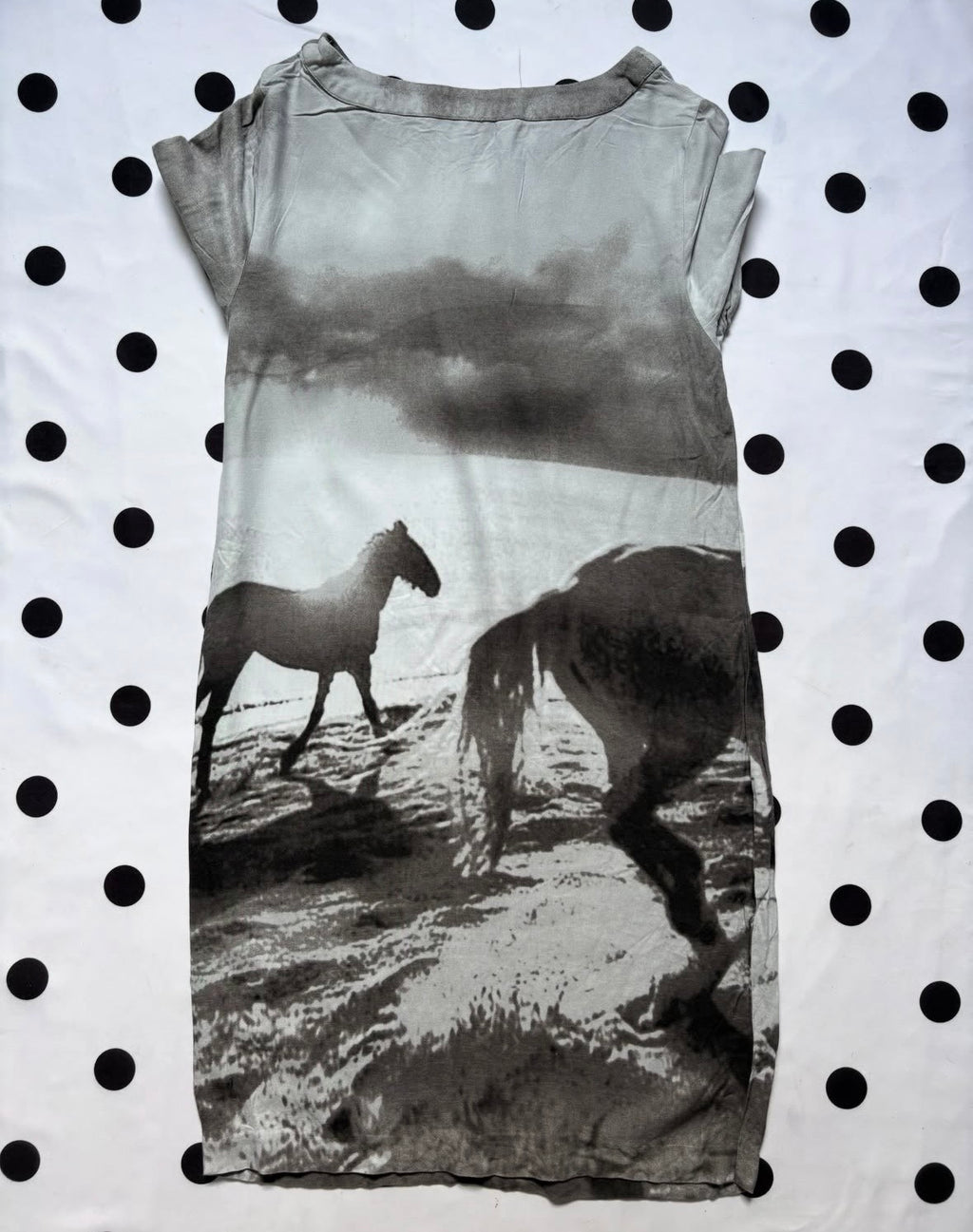 Zara Basics short-sleeve dress